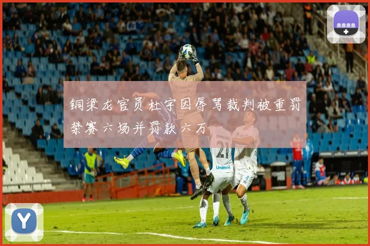 铜梁龙官员杜宇因辱骂裁判被重罚禁赛六场并罚款六万