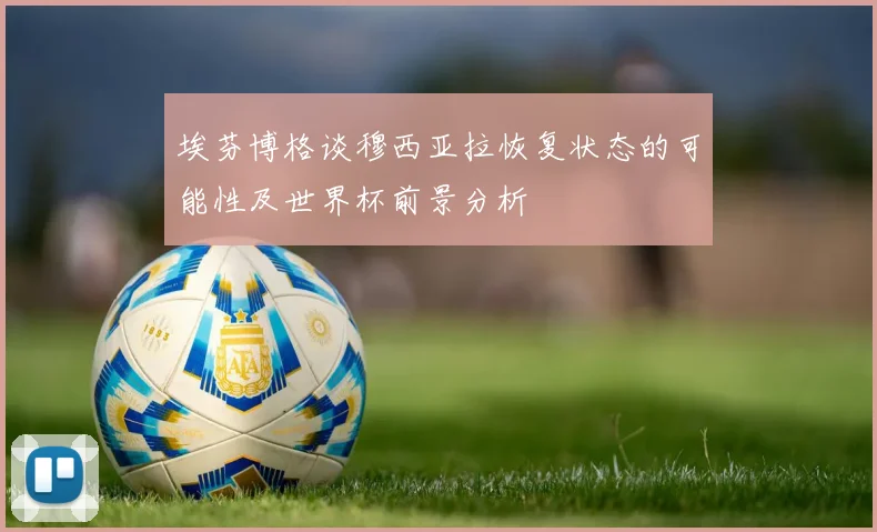 埃芬博格谈穆西亚拉恢复状态的可能性及世界杯前景分析